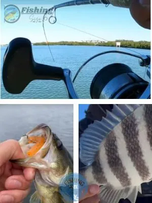 Fishing tips